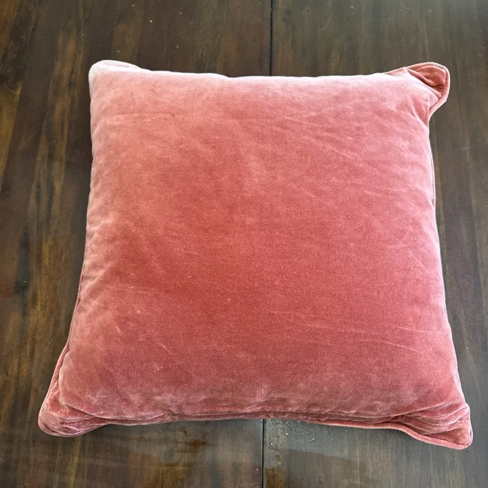 Pottery Barn Throw Pillow Velvet Embroidered‎ Applique Botanical Feather Insert